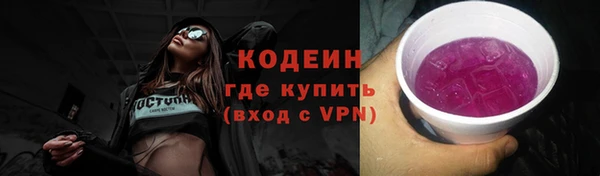 гашик Алзамай