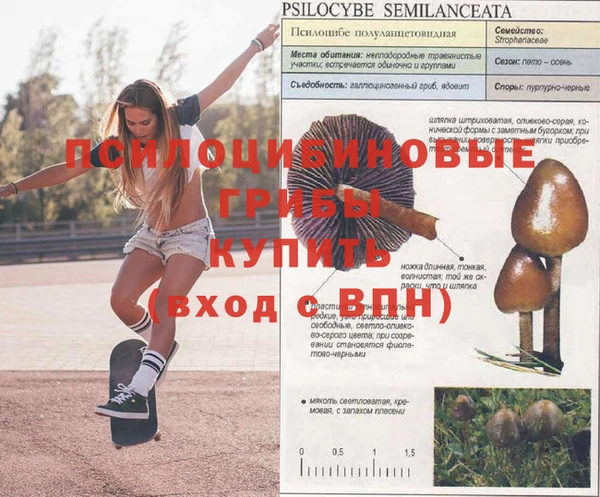 винт Абинск