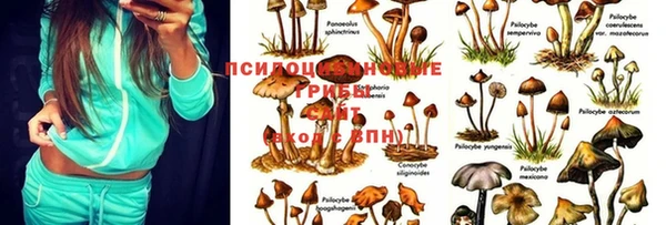 трава Абдулино