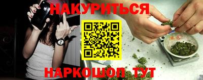 наркотики Кингисепп
