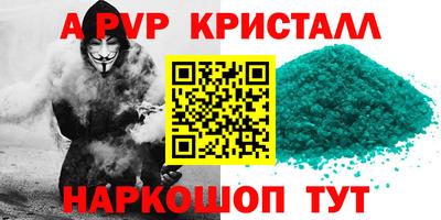 наркотики Кингисепп