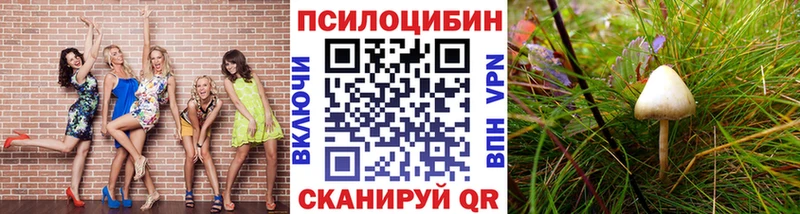 shop наркотические препараты  Ливны  Галлюциногенные грибы Magic Shrooms  как найти  