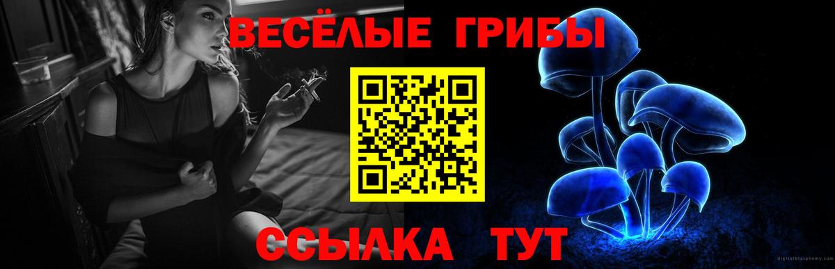 Галлюциногенные грибы GOLDEN TEACHER  Галлюциногенные грибы MAGIC MUSHROOMS  Ливны  Вход с VPN 